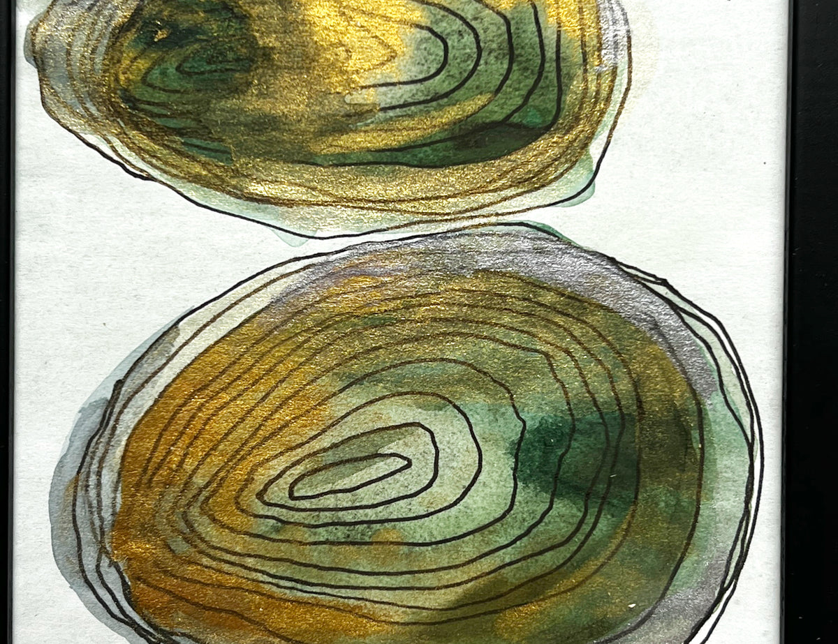 Two shells
