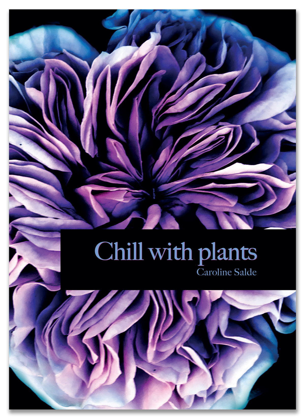 Chill with plants