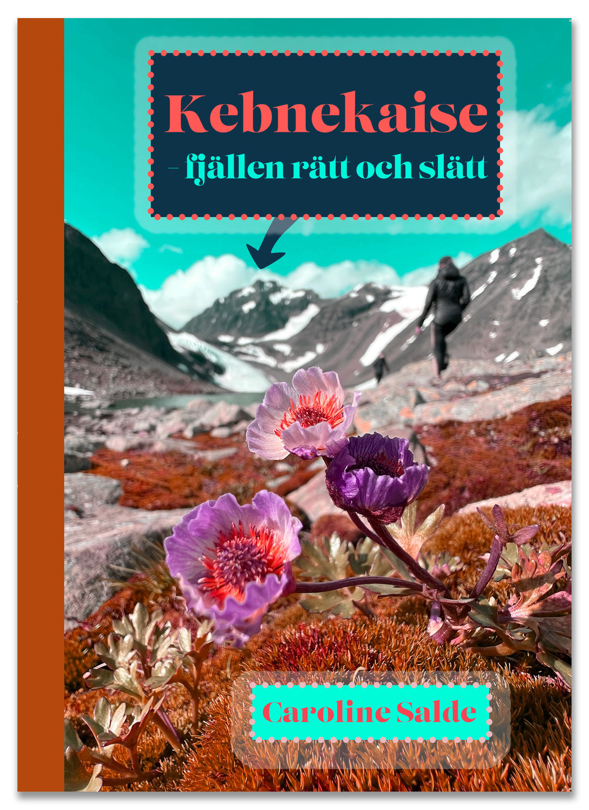 Kebnekaise: fjällen rätt och slätt