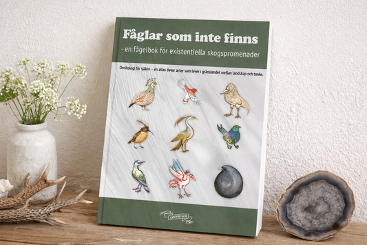 Fåglar som inte finns: min trettonde bok