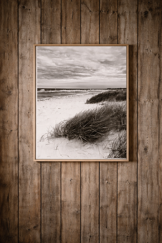The Dunes of Ljunghusen