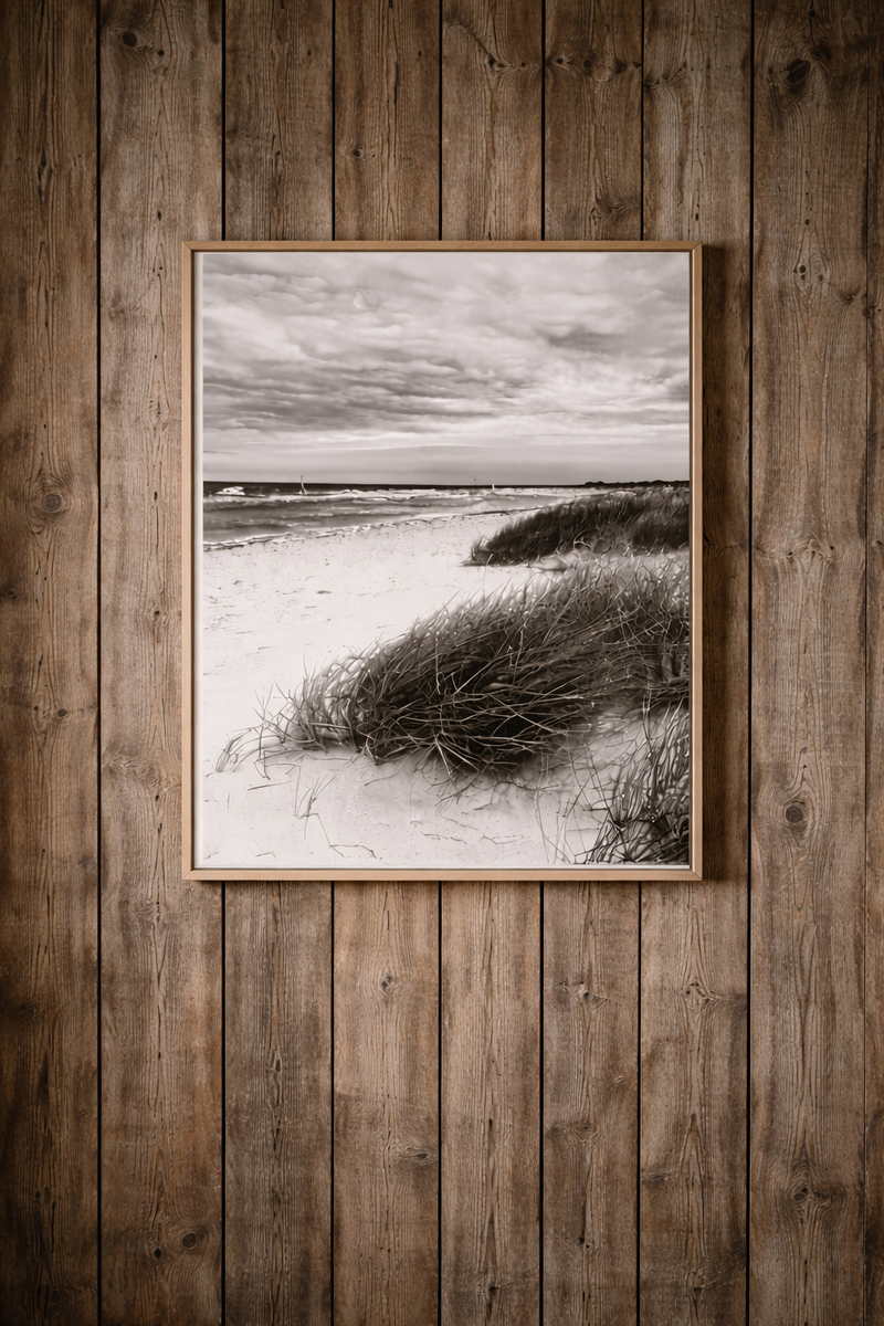 The Dunes of Ljunghusen