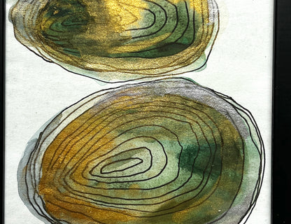Two shells