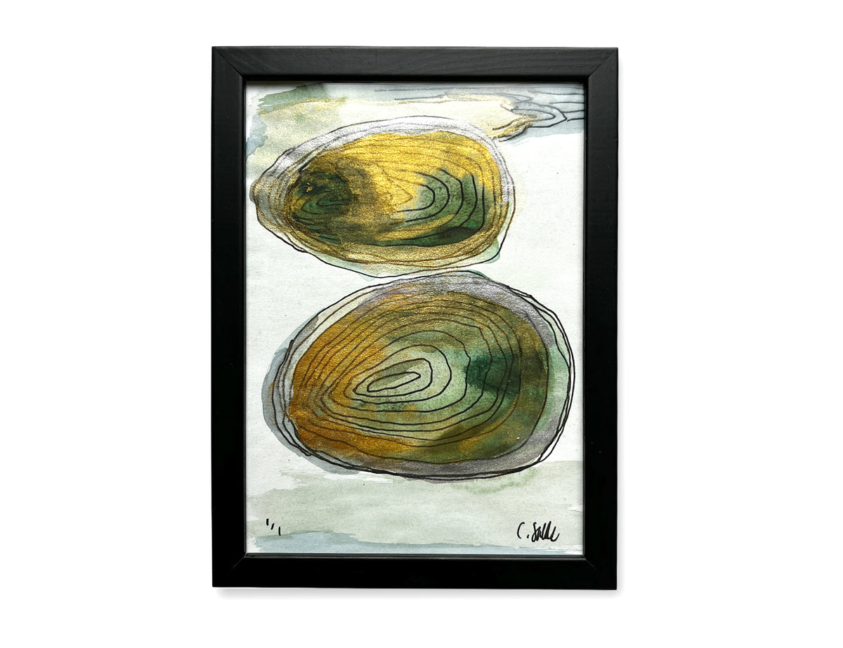 Two shells