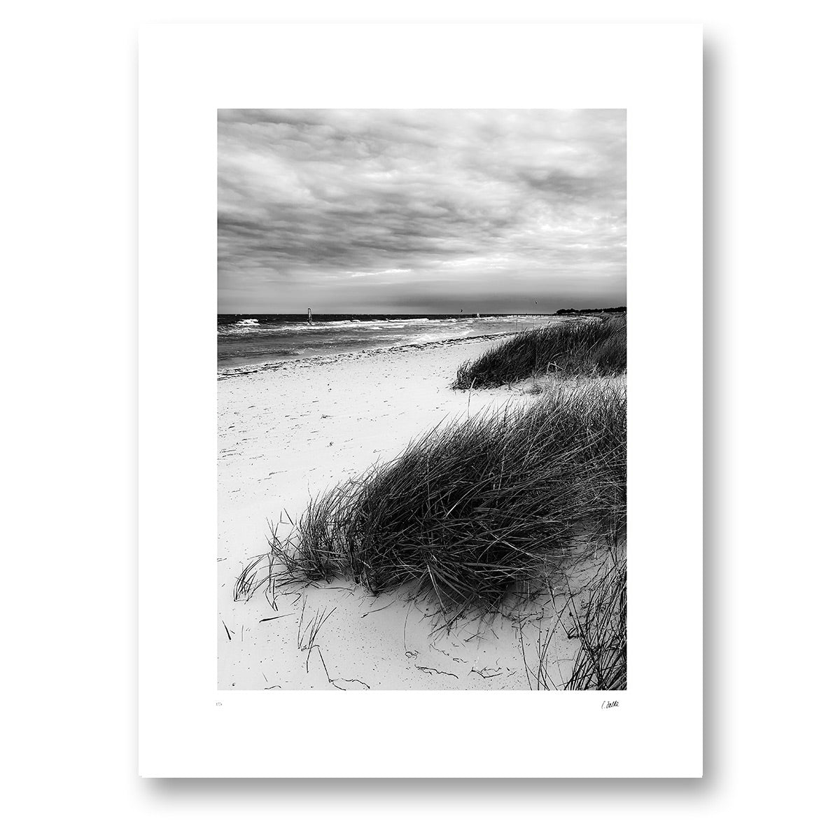 Sanddunes, svartvitt fotografi av sanddyner och strandgräs i Ljunghusen under tung himmel, konsttryck 30 × 40 cm utan ram