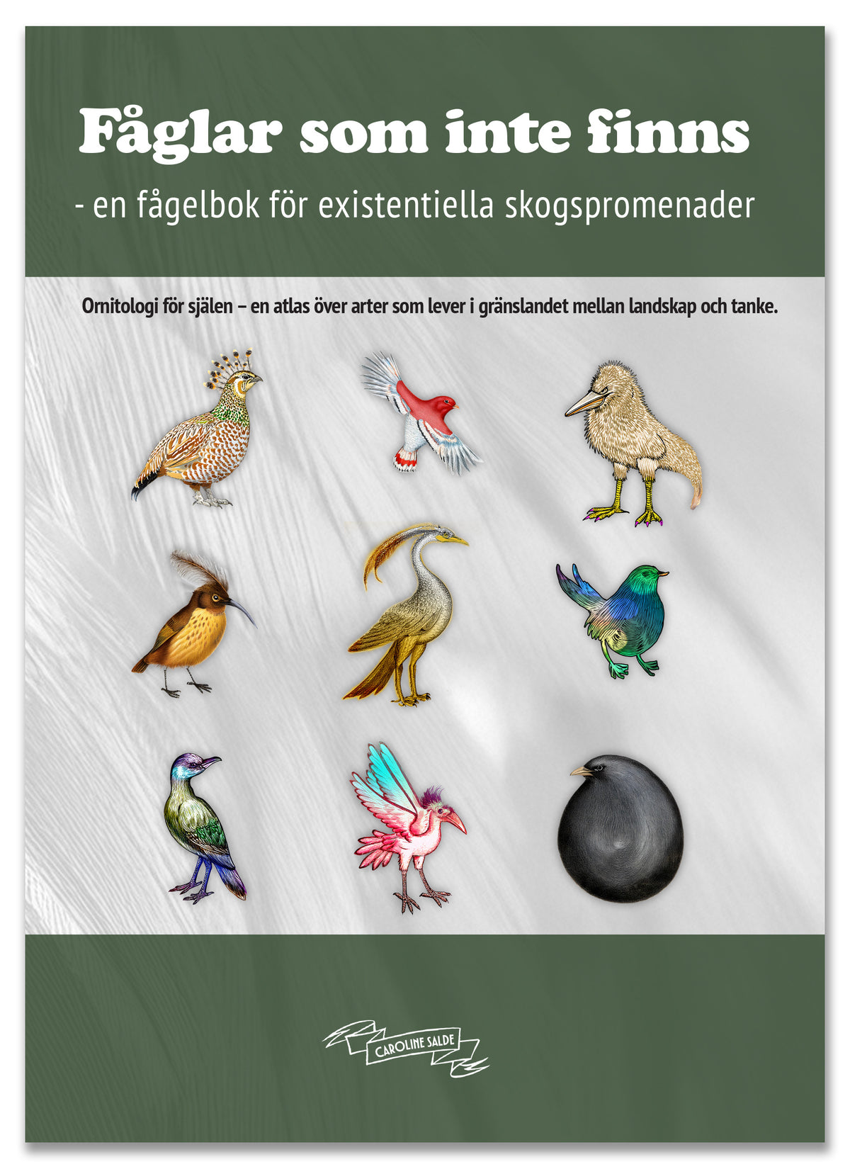 Fåglar som inte finns - en fågelbok för existentiella skogspromenader