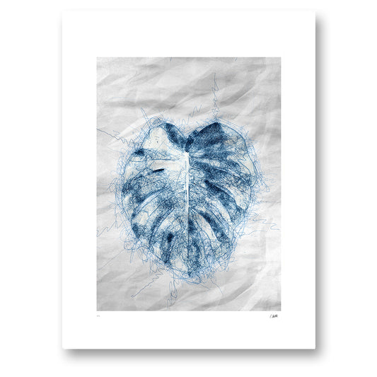 Monstera lines, ett monsterablad tecknat i lösa blå linjer. Utan ram.