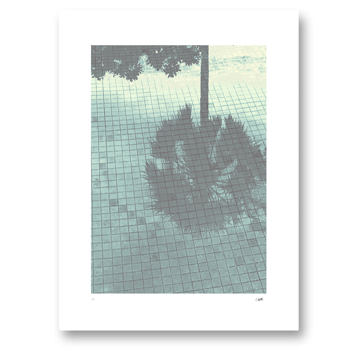 Palm Reflection, fotografi av en palm som speglas i poolvatten över ett rutmönster, konsttryck 30 × 40 cm utan ram
