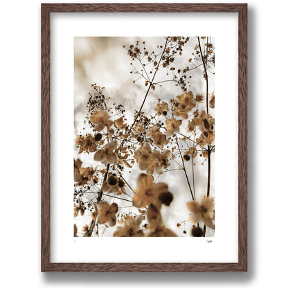 Yellow Sky, botaniskt konsttryck i ekram