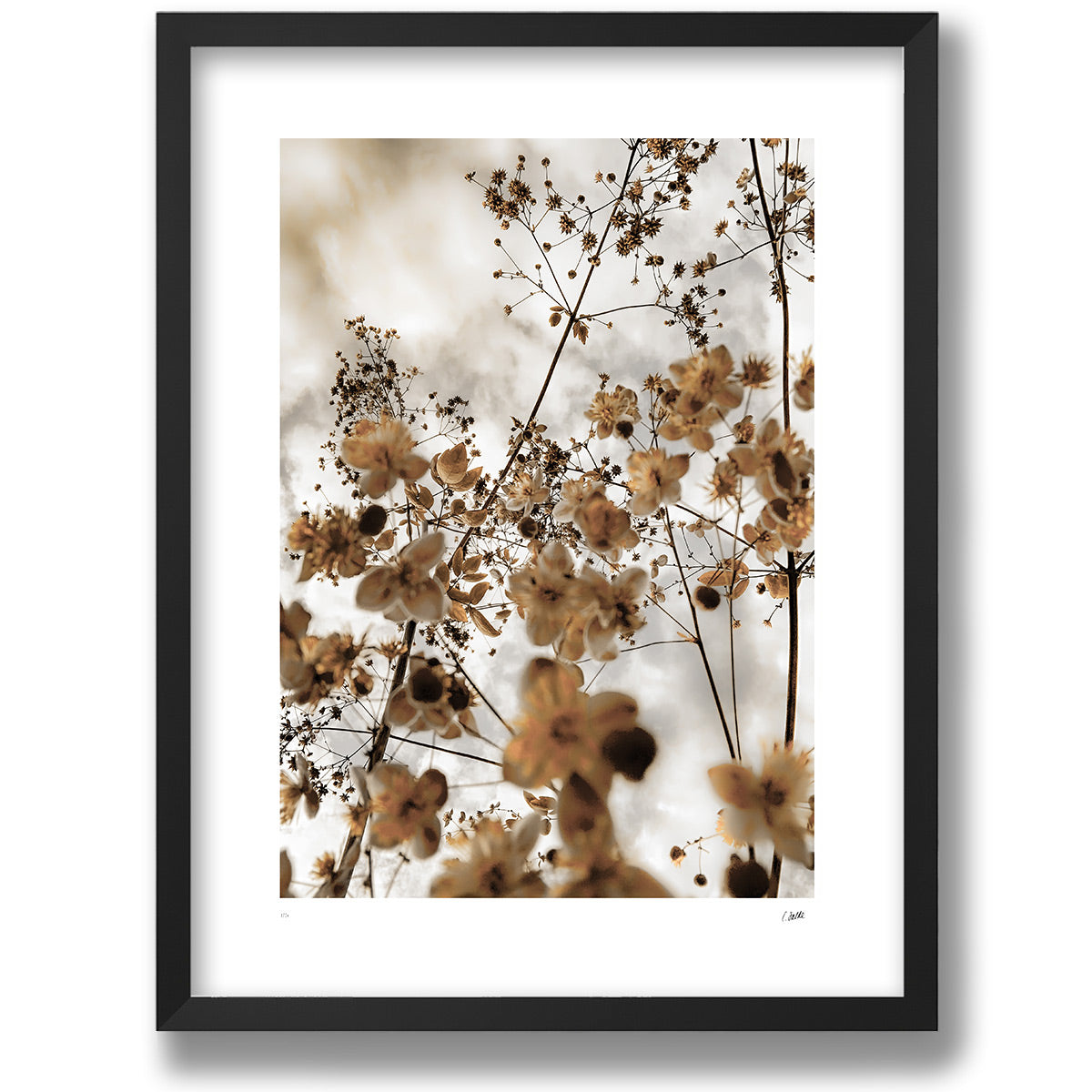 Yellow Sky, botaniskt konsttryck i mattsvart ram
