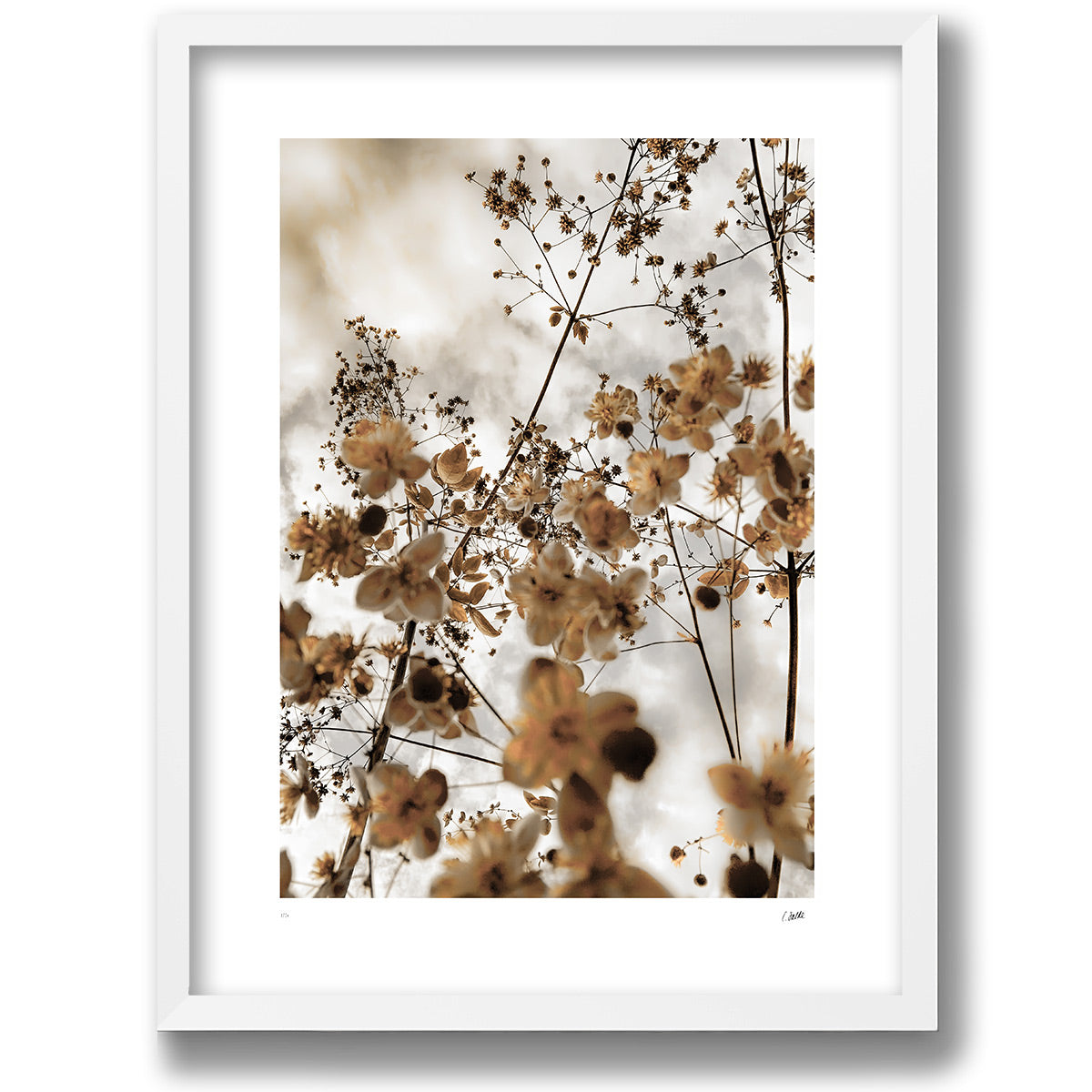 Yellow Sky, botaniskt konsttryck i vit galleriram