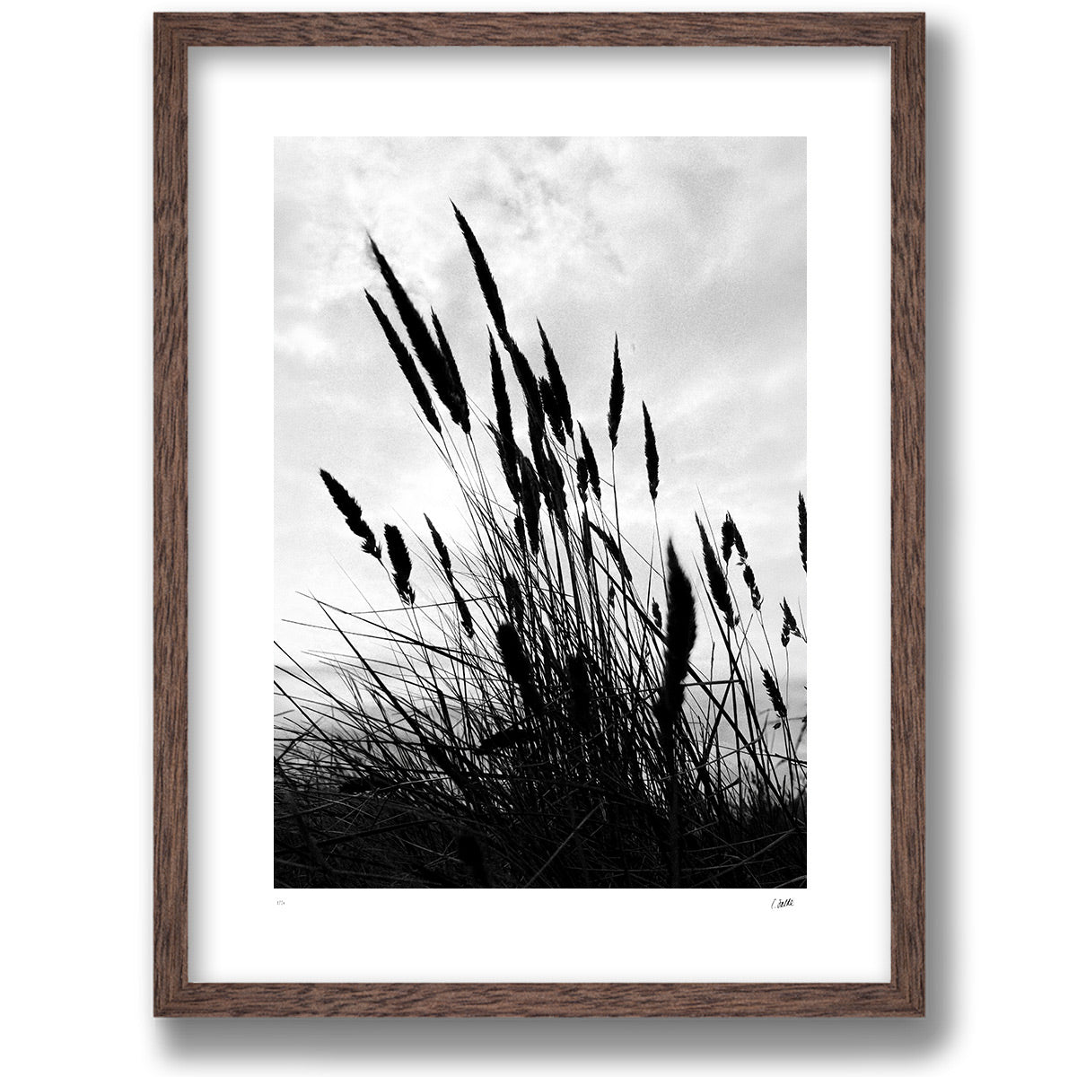 Strandråg in an oak frame