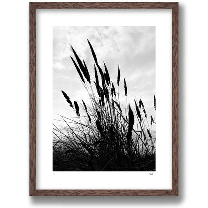 Strandråg in an oak frame