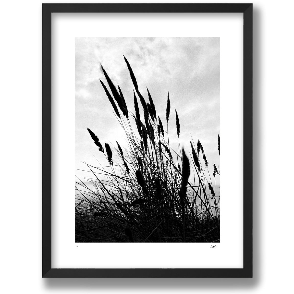 Strandråg in a matte black frame