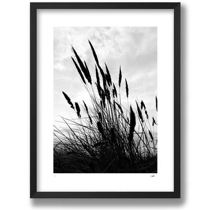 Strandråg in a matte black frame