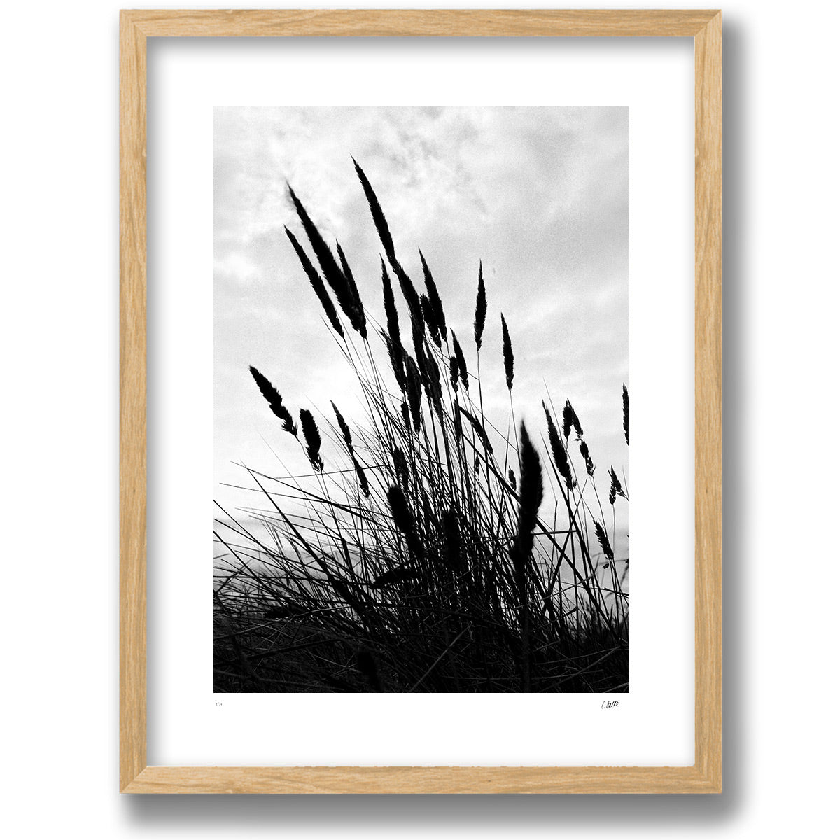 Strandråg in a walnut frame