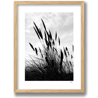 Strandråg in a walnut frame
