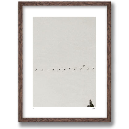 Passing Through in an oak frame