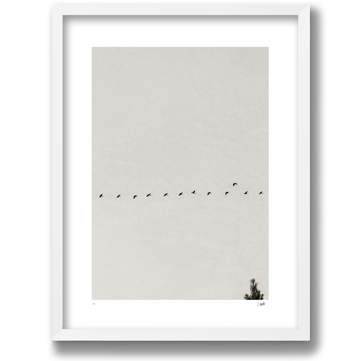 Passing Through in a white gallery frame