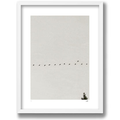 Passing Through in a white gallery frame