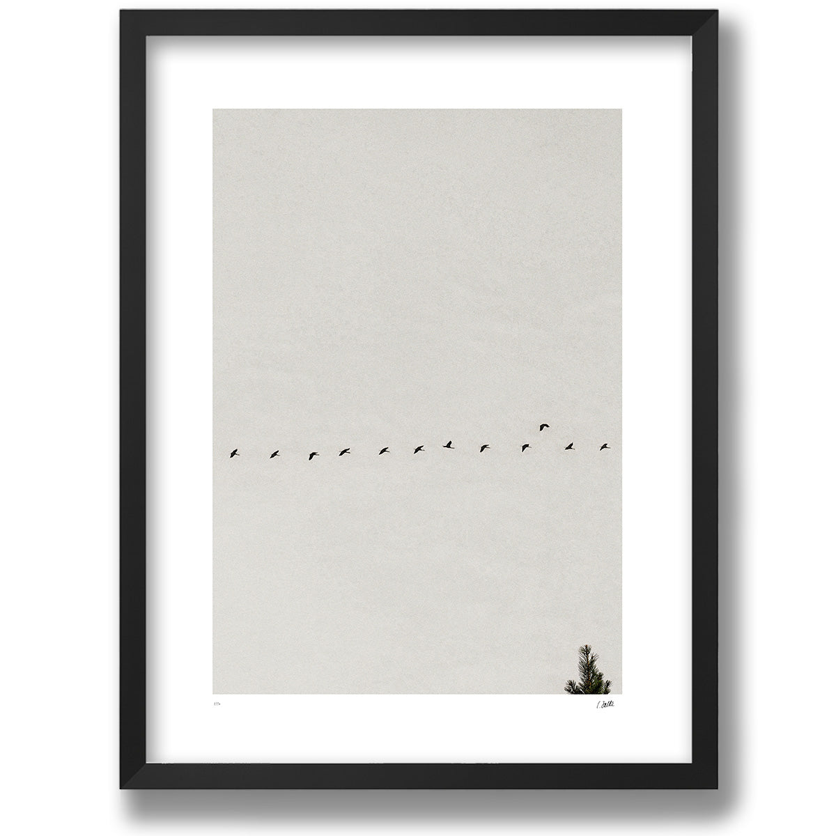 Passing Through in a matte black frame