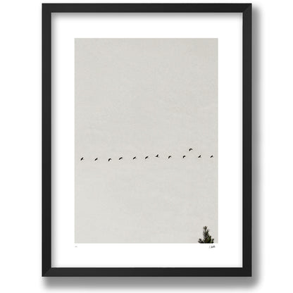 Passing Through in a matte black frame