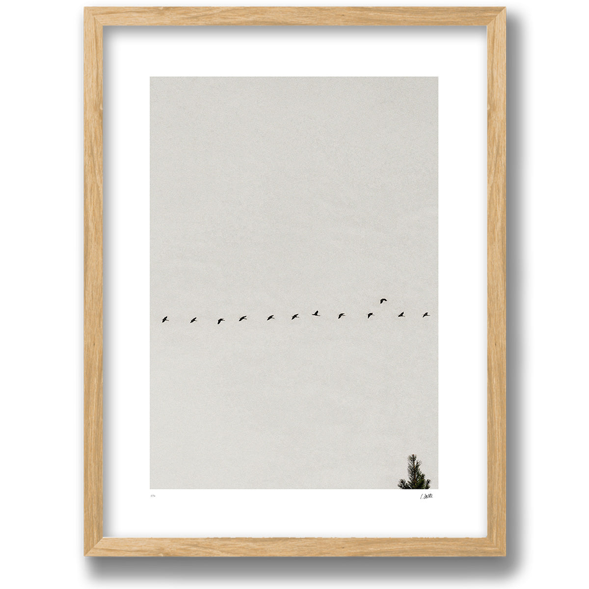 Passing Through in a walnut frame