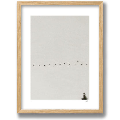 Passing Through in a walnut frame