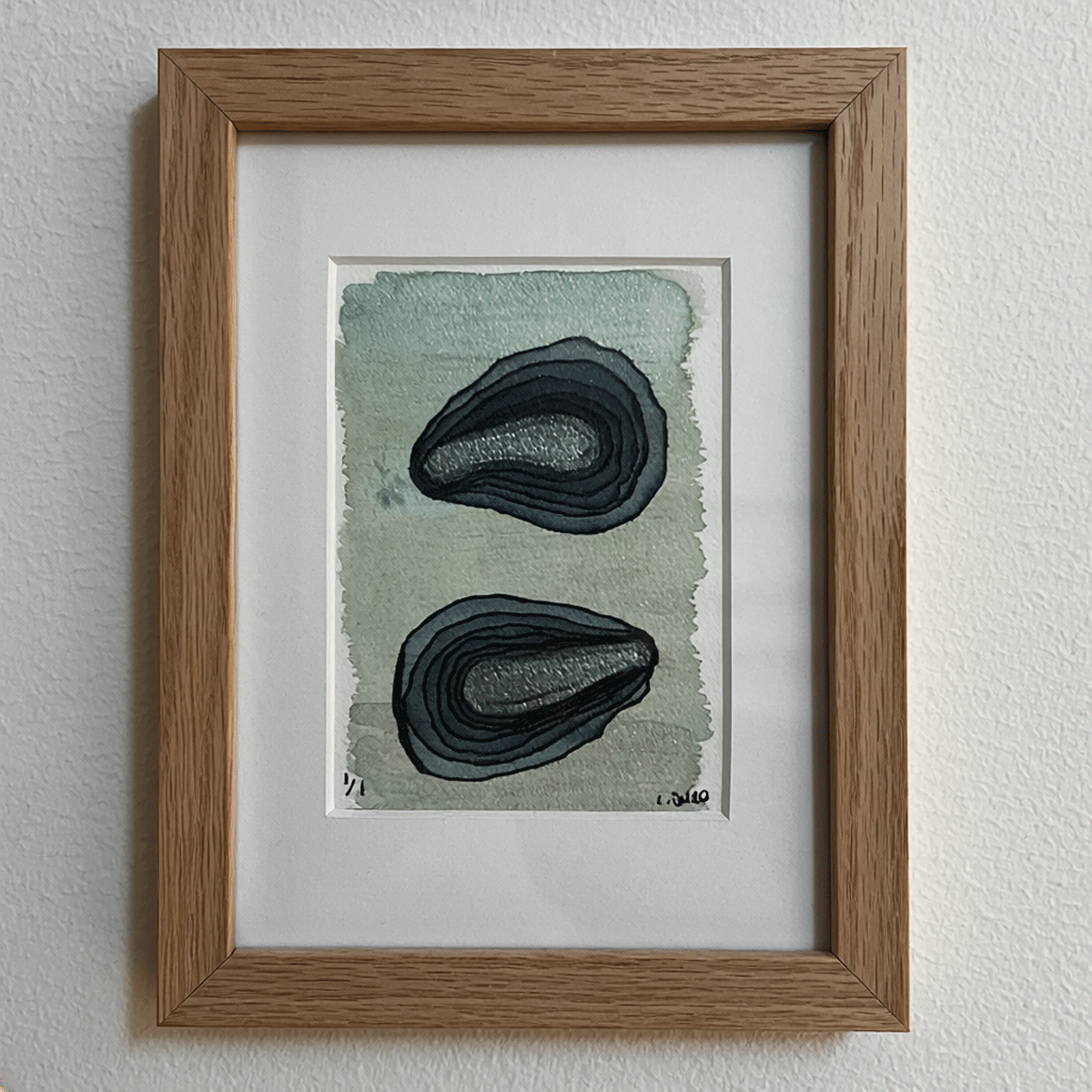 Two oysters