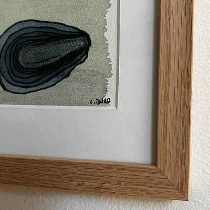 Two oysters