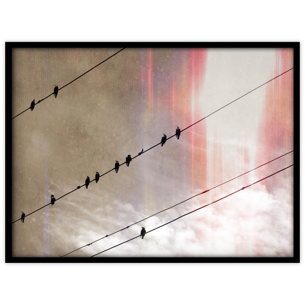 Fåglar på tråd #4 - Studio Caro-lines