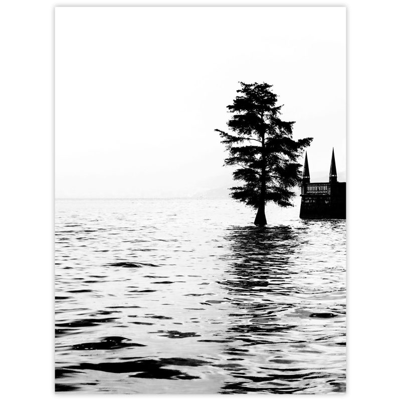 Träd i Maggiore-sjön - Studio Caro-lines
