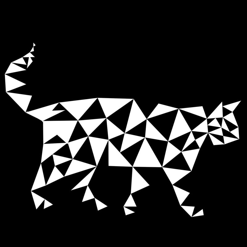 geometric pattern: triangular cat black and white