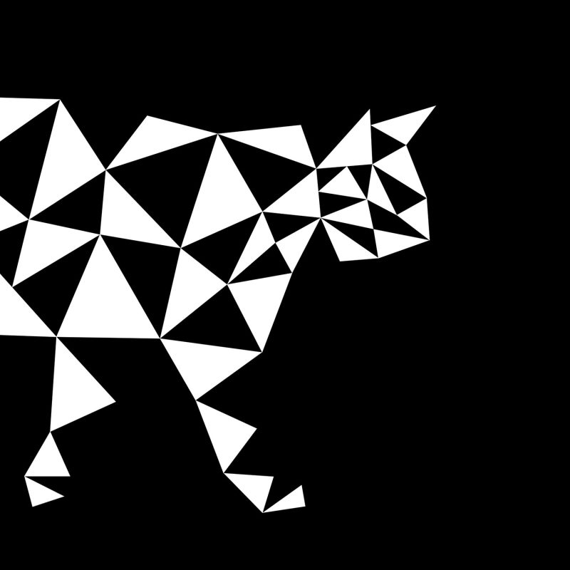 geometric pattern: triangular cat black and white