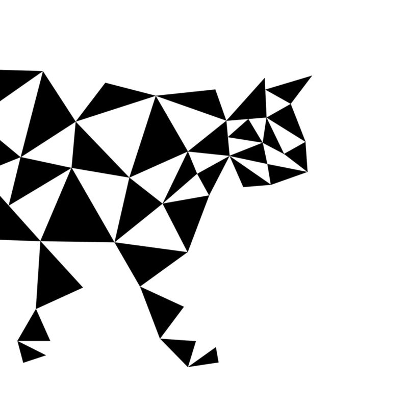 Poster of a black and white cat in geometrical shapes