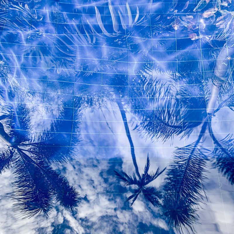 Poster med ett fotografi av palmblad som reflekterar sig i vattnet på en pool