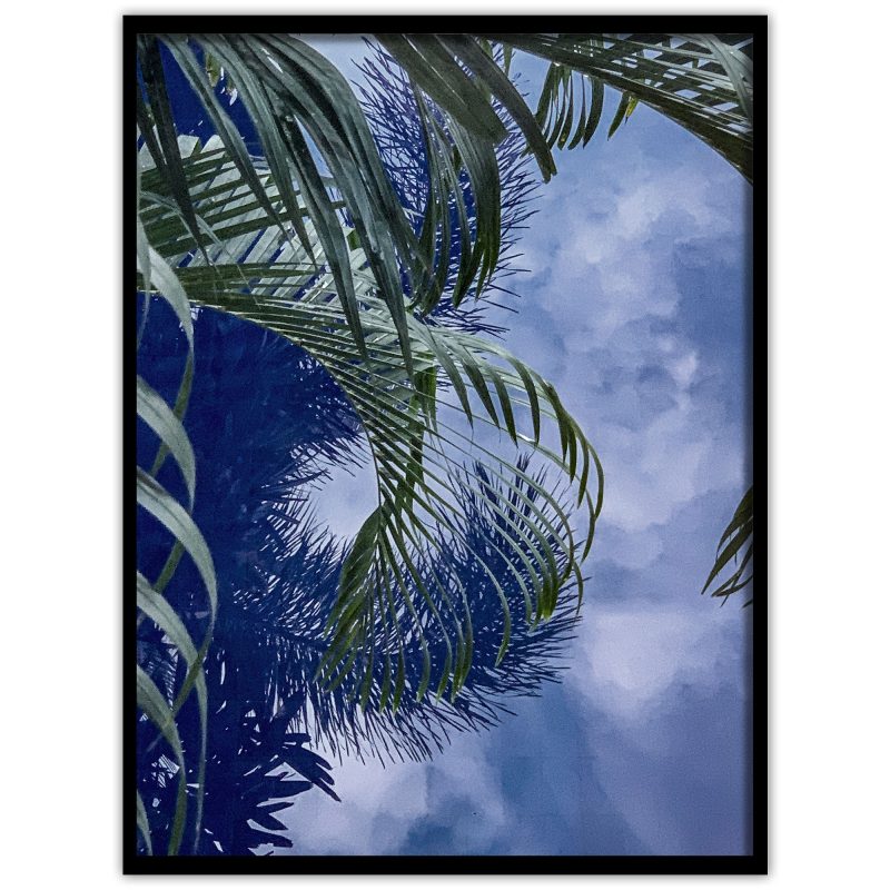 .Poster med ett fotografi av palmblad som reflekterar sig i vattnet på en pool