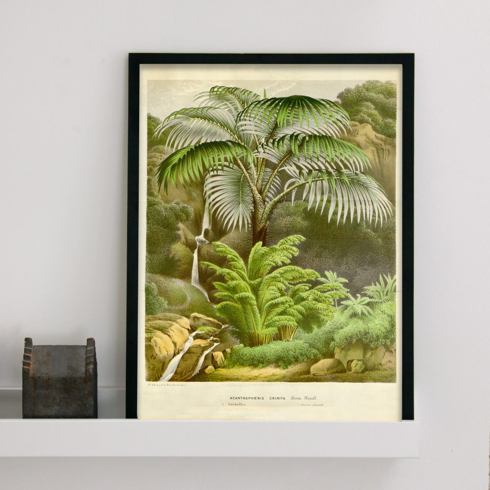 Vintageposter med palmmotiv, djungel
